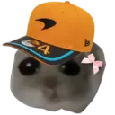 LNHamster