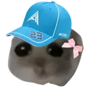 AAHamster