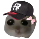 VBHamster Discord emoji