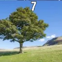 seven