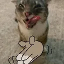 emoji_400 emoji_400