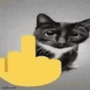dac_catfu