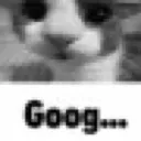 goog
