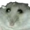 ratA ratA