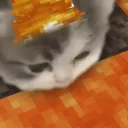 lavacat