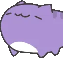 Bugcatnod
