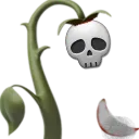 skull_rose