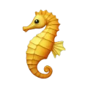 seahorse seahorse