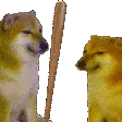 DogeBonk