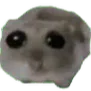 A_HamsterCry A_HamsterCry