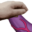 dickplantpet
