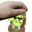 petpetcameron