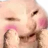 cat_shy