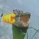 WAHAHAHAHAHA
