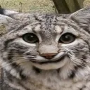emoji_7