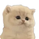 emoji_6