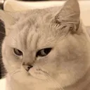 emoji_6