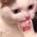 hmmm hmmm