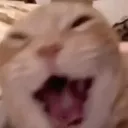 emoji_2