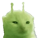 catsnack