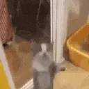 Yippee