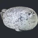 Seal_guy