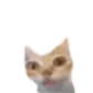 er