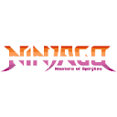 ninjagoLesbian Discord emoji