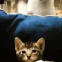 catspank
