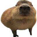 baah