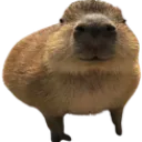 :baah: