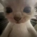 huh