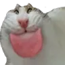blehh Discord emoji