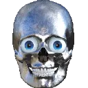 realisticskull