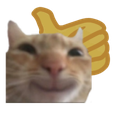 A close-up of a cat with a smug expression and a yellow thumbs up icon behind it.
