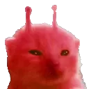 HellRORPTransformation