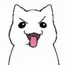 FreakyCat