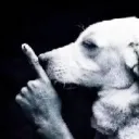 shhh