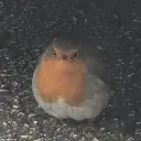 theorb