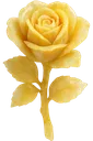 Yellow_rose