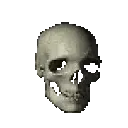 skullspin