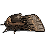 decmoth Discord emoji