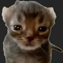 catcry