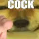 cock
