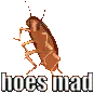 RemsMad