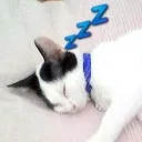 Sleeping
