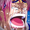kobycry