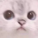 STARE