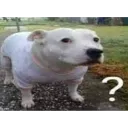 whar