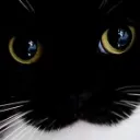 e956e736c489e6119241c00ceda9703d